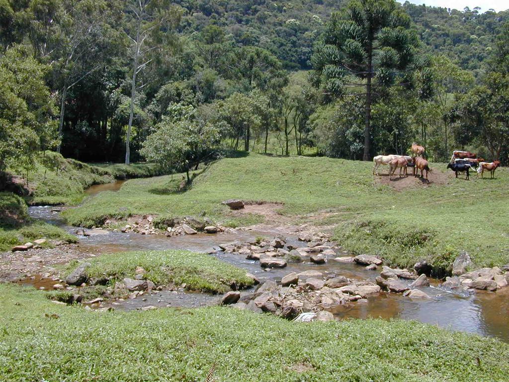Apartamento Ferias Fazenda Usina 2 Bocaina de Minas Exterior foto